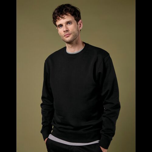 Regular Fit Sweatshirt Thumbnail